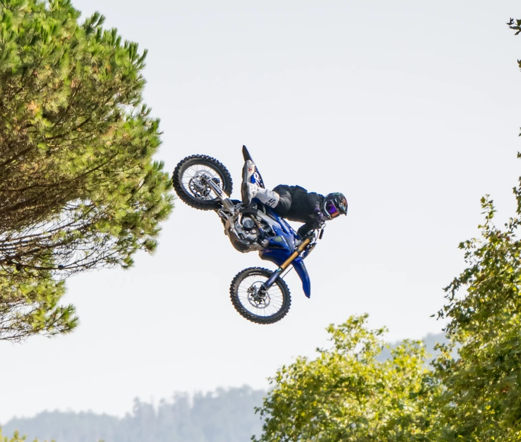 FMX